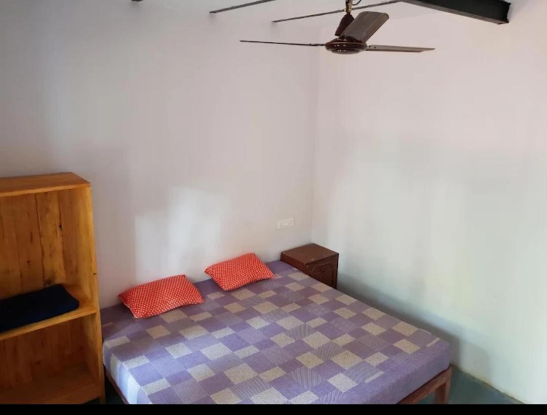 Cocks Town Arambol Quarto foto